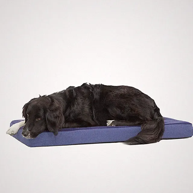 Barkbox Orthopedic Dog Bed with Memory Foam, Premium Comfort for Dogs and Pup...