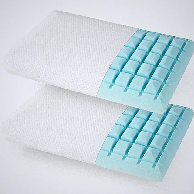 Gel Memory Foam Pillow Set of 2 with Detachable and Machine-washable Pillowcase
