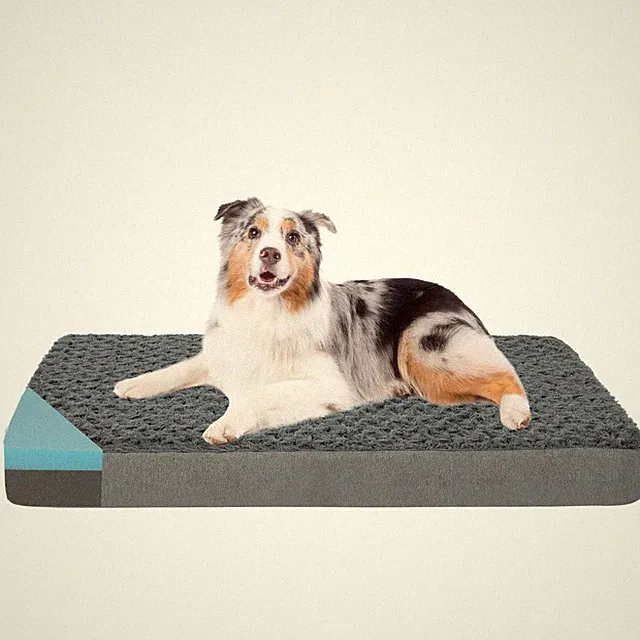 Orthopedic Memory Foam Bed for Large Dogs, Waterproof Cooling Pet Mats for Cr...