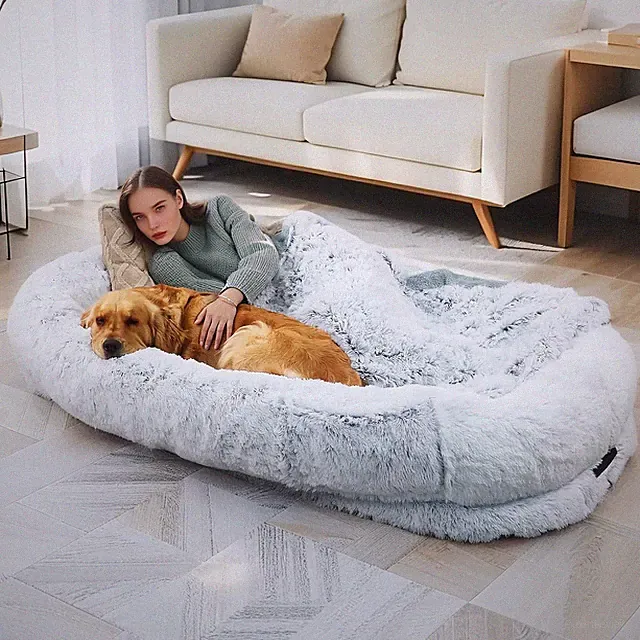 Oversized Memory Foam Dog Bed with Pillow & Blanket - Grey 71"x45