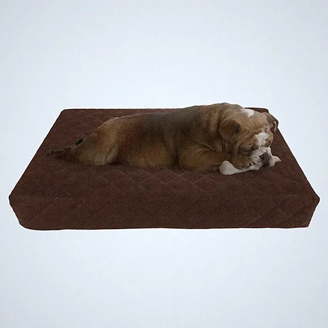 Waterproof Dog Bed - 2-Layer Memory Foam Pet Pad with Removable Machine Washa...